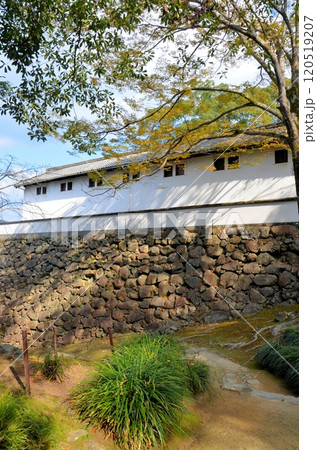 宇和島城 旧山里倉庫と藤兵衛丸跡の石垣 宇和島城 旧山里倉庫と藤兵衛丸跡の石垣 120519207