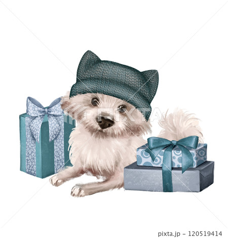Cute fluffy white dog and gift boxes. Animal illustration Cute fluffy white dog and gift boxes. Animal illustration 120519414