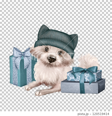 Cute fluffy white dog and gift boxes. Animal illustration Cute fluffy white dog and gift boxes. Animal illustration 120519414