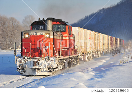 石北本線 生野 JR貨物 DD51-1184+コキ+DD51-1152(鷲別) 石北本線 生野 JR貨物 DD51-1184+コキ+DD51-1152(鷲別) 120519666