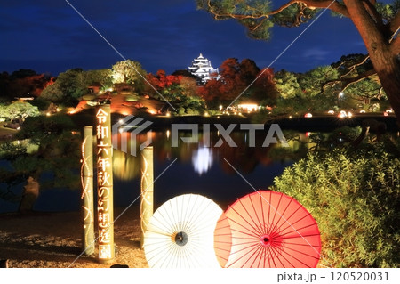 【岡山県】秋の幻想庭園（イルミネーション）後楽園と岡山城（令和の大改修後） 120520031