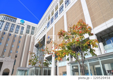 秋の札幌駅　南口 120520458