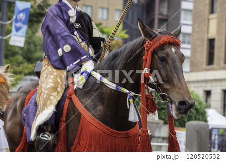 流鏑馬神事の馬 120520532
