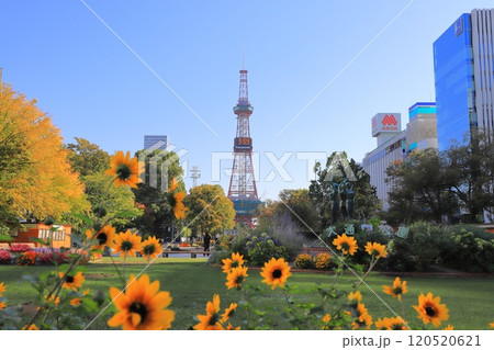 大通公園とさっぽろテレビ塔　北海道札幌市　 120520621