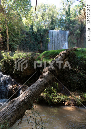 Monasterio de Piedra: Cascading Falls and Fallen Tree Monasterio de Piedra: Cascading Falls and Fallen Tree 120521297