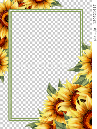 Summer floral frame with hand-drawn sunflowers 120521417