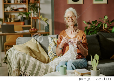 Portrait of elderly woman sitting on comfy sofa, knitting with serene expression. Surroundings include plants, pillows, and books, creating homey atmosphere 120521434