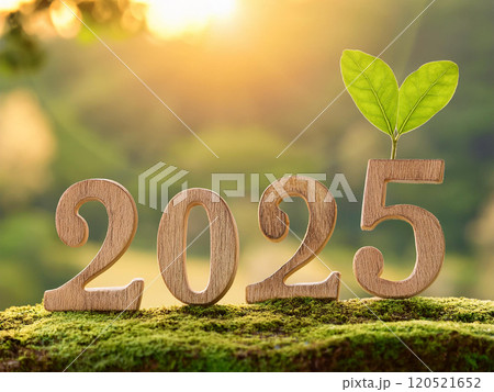 2025 in nature, a forest with wooden 2025 and green sprouts growing from it 120521652