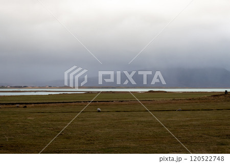 Landscape with sheep, Borgarnes, Iceland 120522748