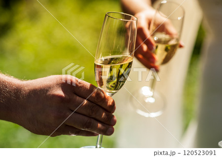 Hand of the man with a glass of wine Hand of the man with a glass of wine 120523091