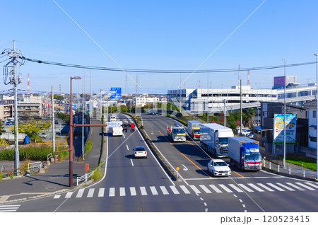 埼玉県さいたま市国道463号線2024年11月 120523415