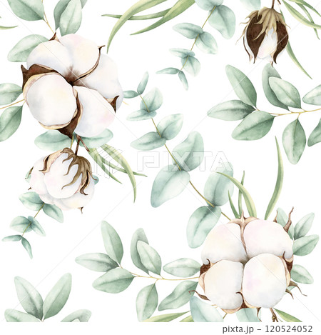 Seamless pattern with dried cotton plant and green eucalyptus leaves. Watercolor hand drawn illustration on white background. Pastel botanical template for design, textile, wrapping paper, wallpaper. 120524052