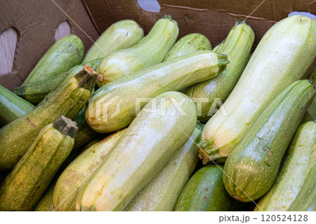 food ripe healthy fresh object nutrition vegetable green vegetarian raw courgette zucchini 120524128