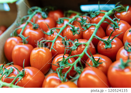 organic produce agriculture market nature juicy vegetarian vegetable red tomato fresh food raw 120524135