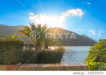A breathtaking sunset illuminating palm trees, mountains, and the serene waterfront, capturing the essence of tropical tranquility. 120524214