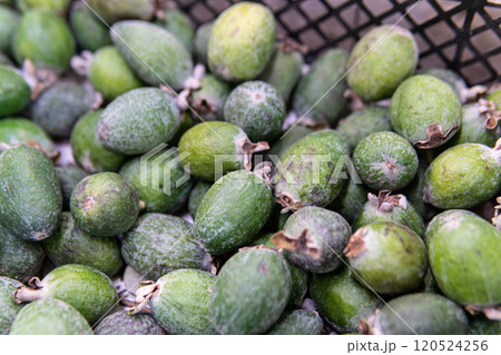 food nature feihua tropical healthy organic market raw green background fruit sweet delicious 120524256
