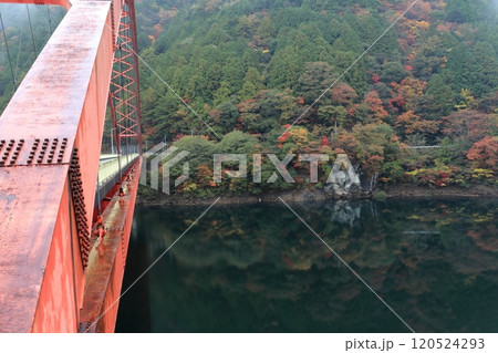 本川大橋と大橋貯水池の紅葉　（高知県　いの町） 120524293