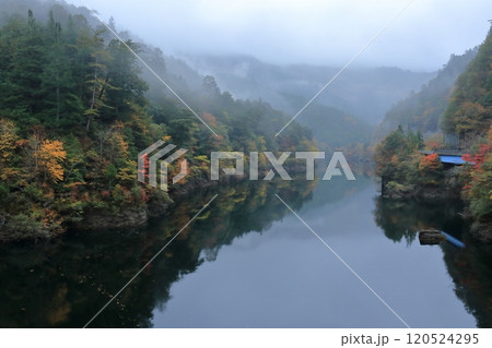 大橋貯水池　秋の景観　（高知県　いの町） 120524295