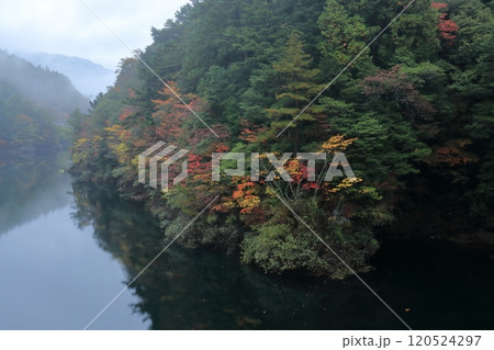 大橋貯水池 彩る樹木 (高知県 いの町) 大橋貯水池 彩る樹木 (高知県 いの町) 120524297
