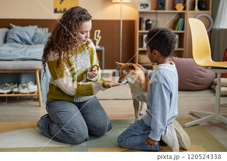 Young adoptive mother and little Black boy engaged in training cute Shiba Inu dog while sitting on floor in kids room 120524338