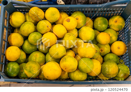citrus raw market fruit organic juicy food ripe sweet fresh background vegetarian healthy citrus raw market fruit organic juicy food ripe sweet fresh background vegetarian healthy 120524470