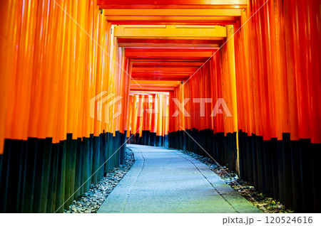 京都は、伏見稲荷大社の千本鳥居 120524616