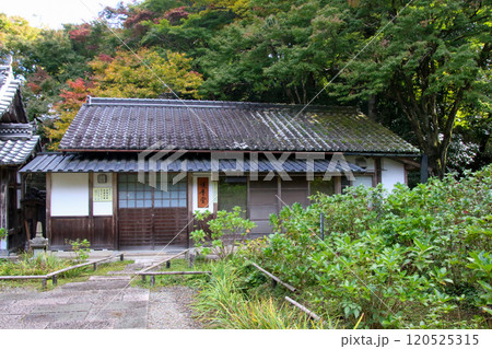 観音寺 観音寺 120525315