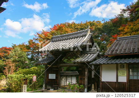観音寺 観音寺 120525317