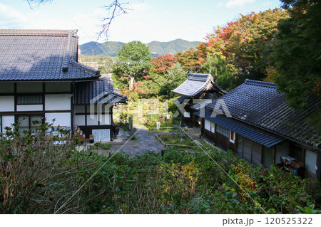 観音寺 120525322
