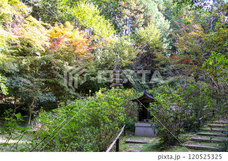 観音寺 120525325