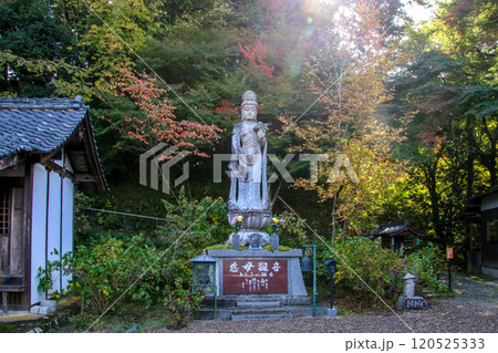 観音寺 観音寺 120525333