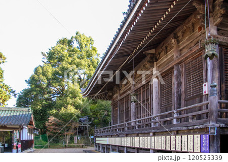 観音寺 120525339