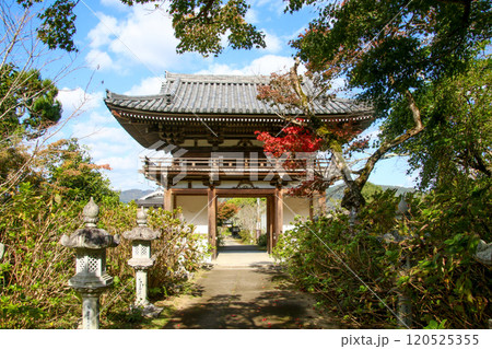観音寺 観音寺 120525355
