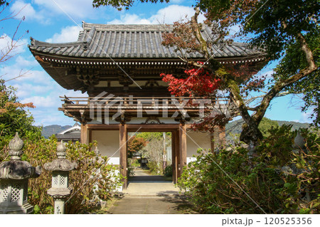 観音寺 120525356