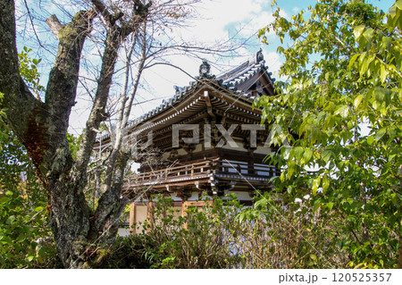 観音寺 120525357