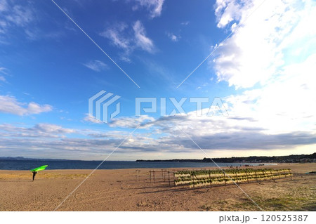 三浦海岸の冬景色 120525387