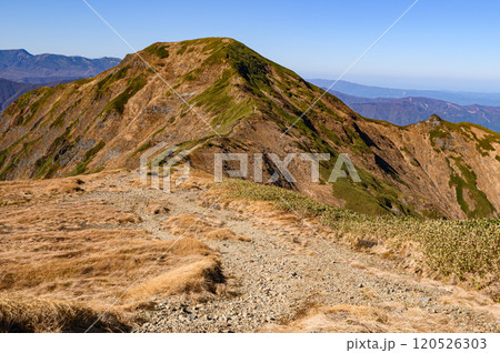 晩秋の谷川連峰・茂倉岳 120526303