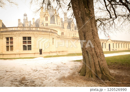 stunning vintage premise stands grandly with its intricate architecture, surrounded by lush greenery under a misty sky, exudes elegance and captures the beauty of timeless architecture 120526990