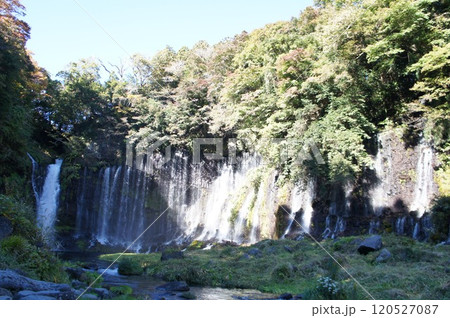白糸の滝 滝 日本の滝 白糸の滝 滝 日本の滝 120527087