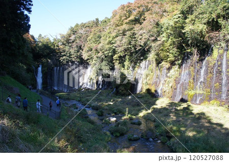 白糸の滝 滝 日本の滝 白糸の滝 滝 日本の滝 120527088