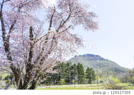 二美桜と八剣山　札幌市 120527305