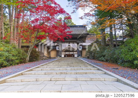 高野山金剛峯寺　紅葉に包まれた正門 120527596
