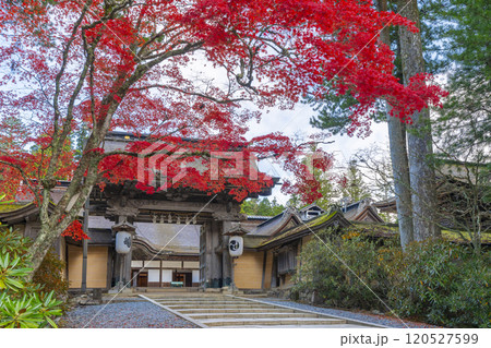 高野山金剛峯寺 紅葉に包まれた正門 高野山金剛峯寺 紅葉に包まれた正門 120527599