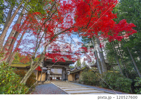 高野山金剛峯寺 紅葉に包まれた正門 高野山金剛峯寺 紅葉に包まれた正門 120527600