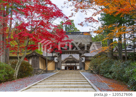 高野山金剛峯寺 紅葉に包まれた正門 高野山金剛峯寺 紅葉に包まれた正門 120527606