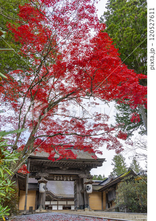 高野山金剛峯寺　紅葉に包まれた正門 120527611