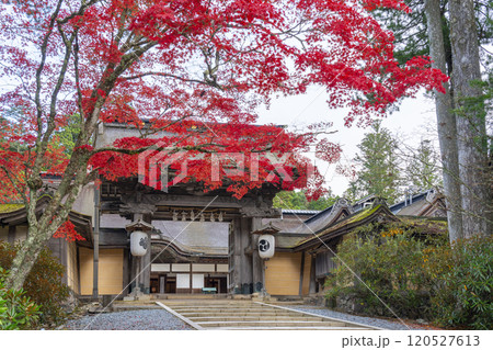 高野山金剛峯寺　紅葉に包まれた正門 120527613