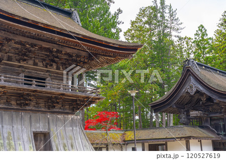 高野山金剛峯寺 鐘楼と真っ赤に色づいた紅葉 高野山金剛峯寺 鐘楼と真っ赤に色づいた紅葉 120527619