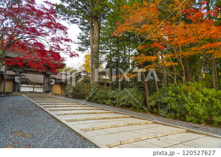 高野山金剛峯寺　紅葉に包まれた正門 120527627
