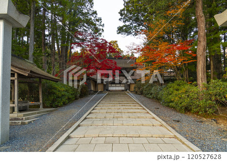 高野山金剛峯寺　紅葉に包まれた正門　 120527628